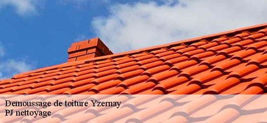 Demoussage de toiture  yzernay-49360 PJ nettoyage