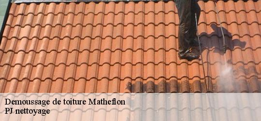 Demoussage de toiture  matheflon-49140 PJ nettoyage