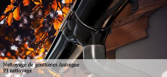 Nettoyage de gouttières antoigne-49260 PJ nettoyage