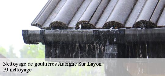 Nettoyage de gouttières  aubigne-sur-layon-49540 PJ nettoyage