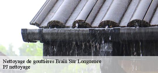 Nettoyage de gouttières  brain-sur-longuenee-49220 PJ nettoyage