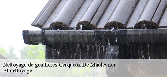 Nettoyage de gouttières  cerqueux-de-maulevrier-49360 PJ nettoyage