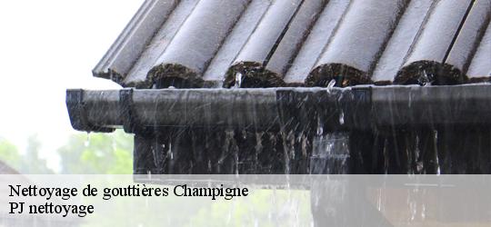 Nettoyage de gouttières  champigne-49330 PJ nettoyage