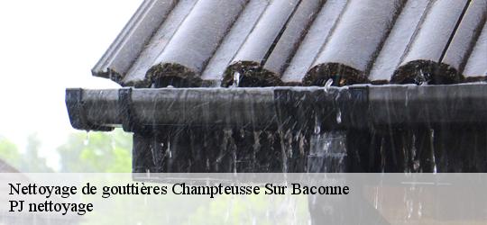 Nettoyage de gouttières  champteusse-sur-baconne-49220 PJ nettoyage