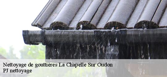 Nettoyage de gouttières  la-chapelle-sur-oudon-49500 PJ nettoyage