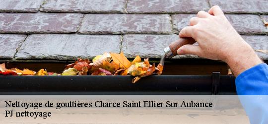 Nettoyage de gouttières  charce-saint-ellier-sur-aubance-49320 PJ nettoyage