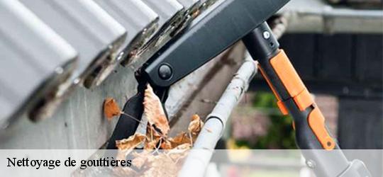 Nettoyage de gouttières clefs-49150 PJ nettoyage