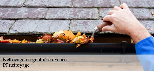 Nettoyage de gouttières feneu-49460 PJ nettoyage