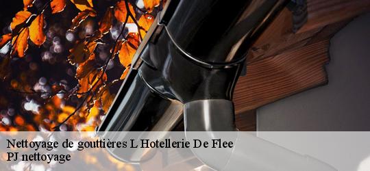 Nettoyage de gouttières  l-hotellerie-de-flee-49500 PJ nettoyage