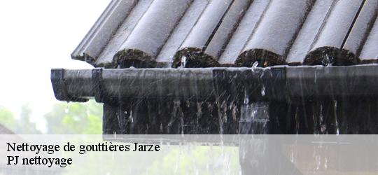 Nettoyage de gouttières  jarze-49140 PJ nettoyage