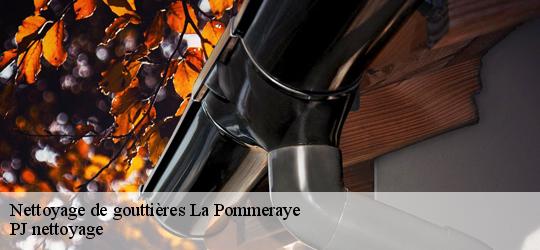 Nettoyage de gouttières la-pommeraye-49620 PJ nettoyage