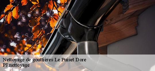 Nettoyage de gouttières le-puiset-dore-49600 PJ nettoyage