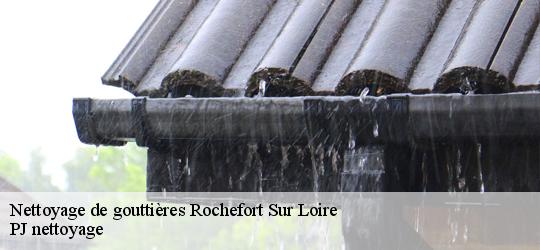 Nettoyage de gouttières rochefort-sur-loire-49190 PJ nettoyage
