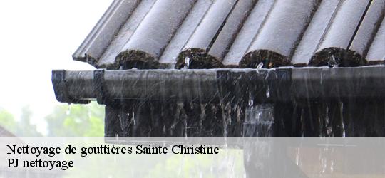 Nettoyage de gouttières sainte-christine-49120 PJ nettoyage