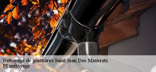 Nettoyage de gouttières  saint-jean-des-mauvrets-49320 PJ nettoyage