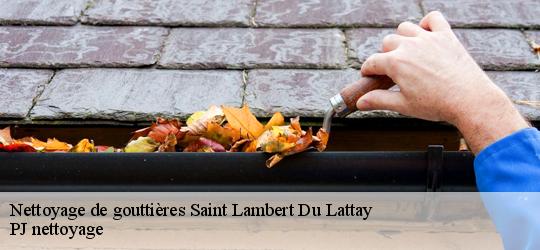 Nettoyage de gouttières  saint-lambert-du-lattay-49750 PJ nettoyage