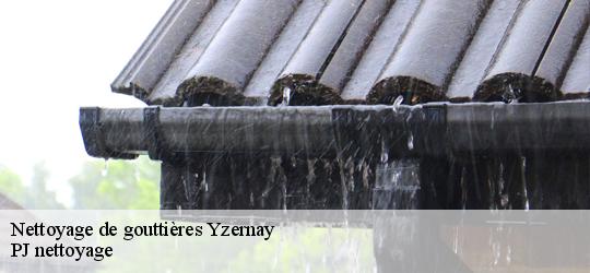 Nettoyage de gouttières  yzernay-49360 PJ nettoyage