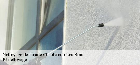 Nettoyage de façade  chanteloup-les-bois-49340 PJ nettoyage