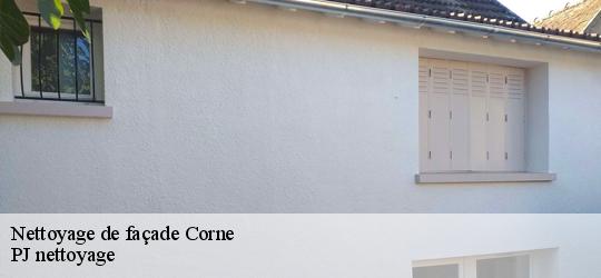 Nettoyage de façade  corne-49250 PJ nettoyage