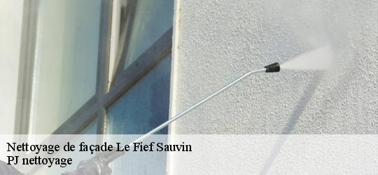 Nettoyage de façade  le-fief-sauvin-49600 PJ nettoyage
