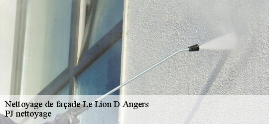Nettoyage de façade  le-lion-d-angers-49220 PJ nettoyage