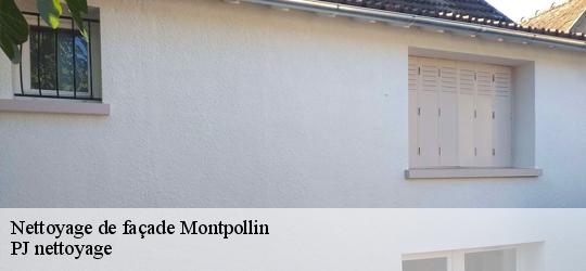 Nettoyage de façade montpollin-49150 PJ nettoyage