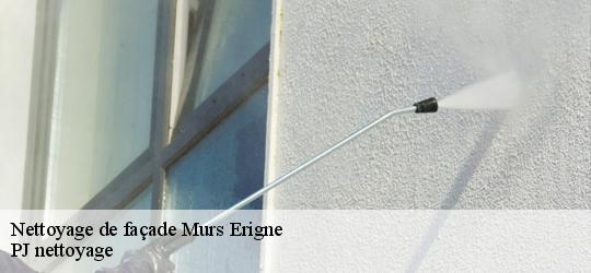 Nettoyage de façade  murs-erigne-49130 PJ nettoyage