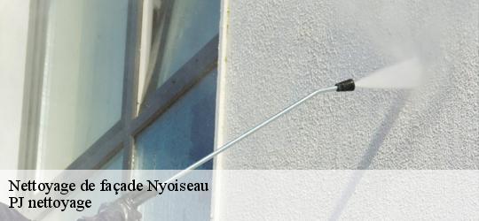 Nettoyage de façade  nyoiseau-49500 PJ nettoyage