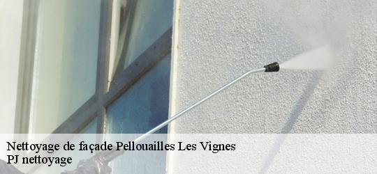 Nettoyage de façade  pellouailles-les-vignes-49112 PJ nettoyage
