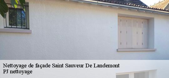 Nettoyage de façade  saint-sauveur-de-landemont-49270 PJ nettoyage