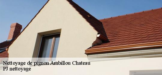 Nettoyage de pignon  ambillou-chateau-49700 PJ nettoyage