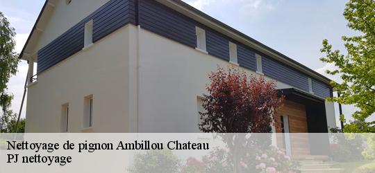 Nettoyage de pignon  ambillou-chateau-49700 PJ nettoyage