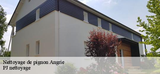 Nettoyage de pignon  angrie-49440 PJ nettoyage