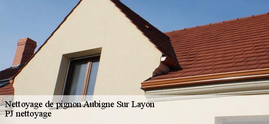 Nettoyage de pignon  aubigne-sur-layon-49540 PJ nettoyage