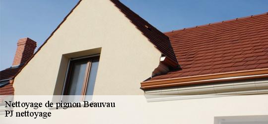 Nettoyage de pignon beauvau-49140 PJ nettoyage