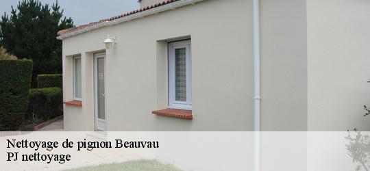 Nettoyage de pignon beauvau-49140 PJ nettoyage