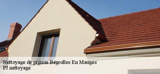 Nettoyage de pignon  begrolles-en-mauges-49122 PJ nettoyage