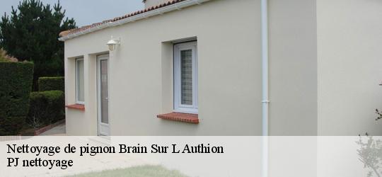 Nettoyage de pignon  brain-sur-l-authion-49800 PJ nettoyage