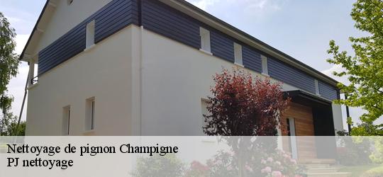Nettoyage de pignon  champigne-49330 PJ nettoyage