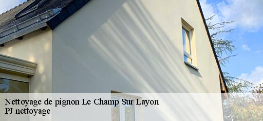 Nettoyage de pignon  le-champ-sur-layon-49380 PJ nettoyage