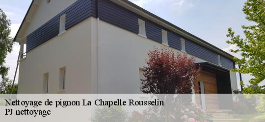 Nettoyage de pignon  la-chapelle-rousselin-49120 PJ nettoyage
