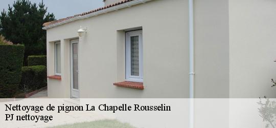 Nettoyage de pignon  la-chapelle-rousselin-49120 PJ nettoyage