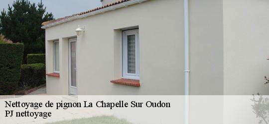 Nettoyage de pignon la-chapelle-sur-oudon-49500 PJ nettoyage