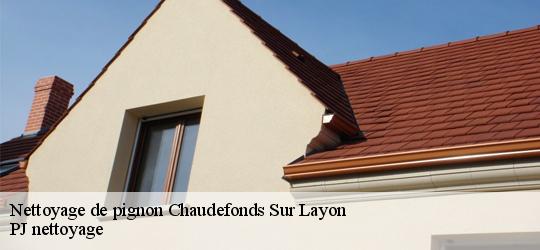 Nettoyage de pignon  chaudefonds-sur-layon-49290 PJ nettoyage