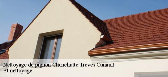 Nettoyage de pignon chenehutte-treves-cunault-49350 PJ nettoyage