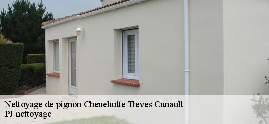Nettoyage de pignon  chenehutte-treves-cunault-49350 PJ nettoyage