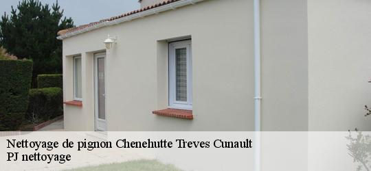 Nettoyage de pignon chenehutte-treves-cunault-49350 PJ nettoyage