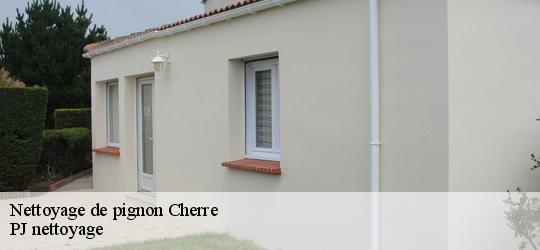 Nettoyage de pignon cherre-49330 PJ nettoyage