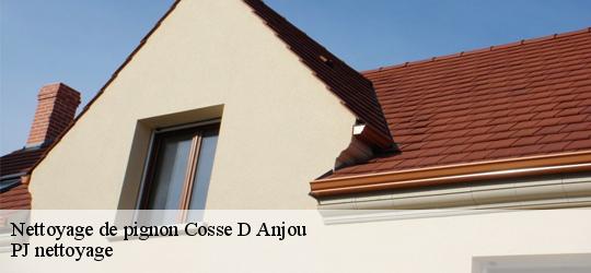 Nettoyage de pignon  cosse-d-anjou-49120 PJ nettoyage