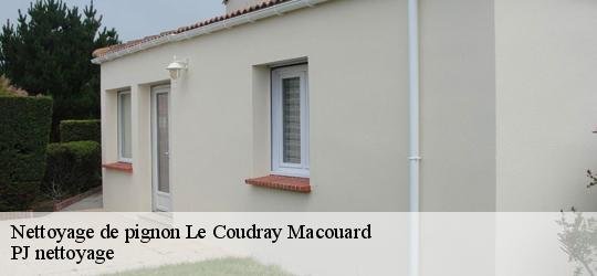 Nettoyage de pignon  le-coudray-macouard-49260 PJ nettoyage